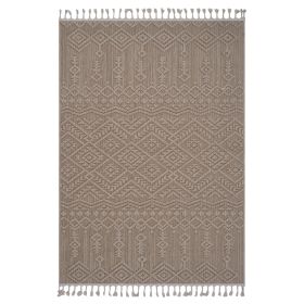 4X6 Natural /Traditional Indoor/Outdoor Area Rug - as Pic