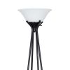 69" Metal Etagere Floor Lamp;  Charcoal Finish - LED Bulb Included